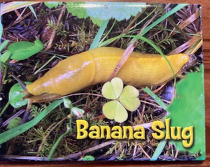 BANANA SLUG MAGNET